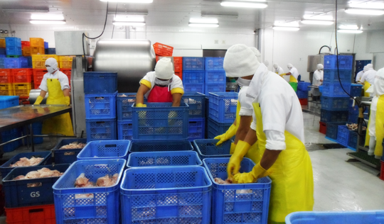 rbestfoods slider images