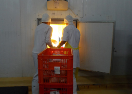 receiving dispatching image