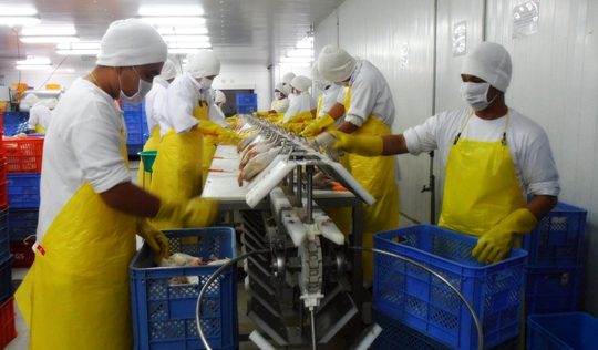 rbestfoods slider images